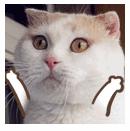 关于面膜，你不知道的那些事