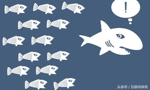 互联网保险车险,互联网保险展业