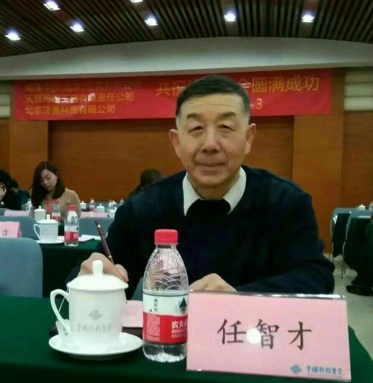 专访北京红尘善缘影视文化传媒董事长任南熹