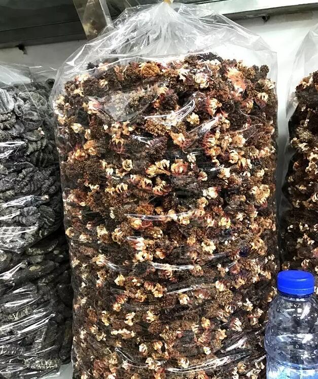 海参也有很多种,全世界所有可以吃的海参