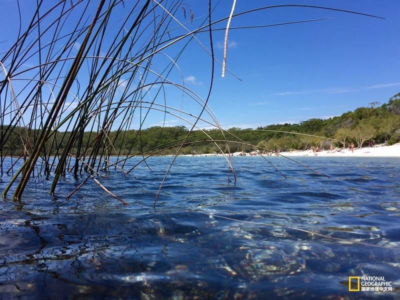 FraserIsland|快来全世界最大的沙岛上撒把野