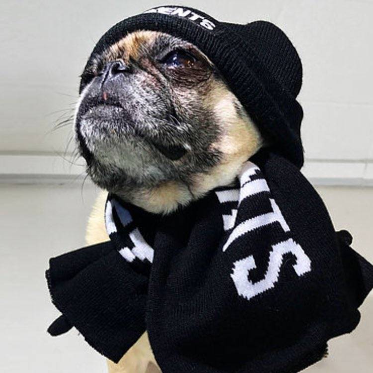 哪些“年鞋”会被FLOP掉？