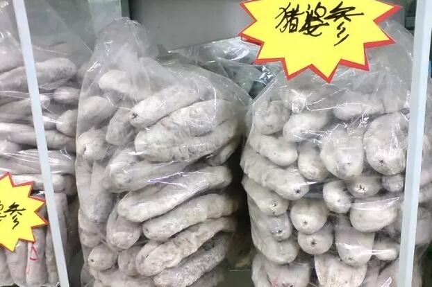 海参也有很多种,全世界所有可以吃的海参