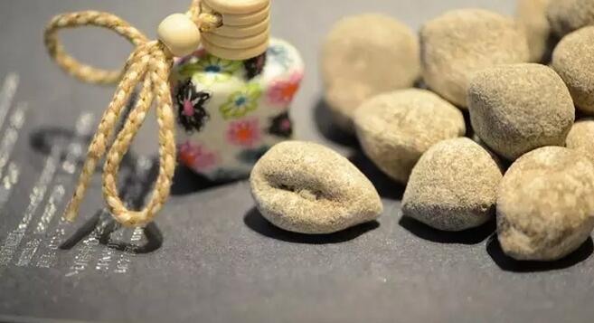 海参也有很多种,全世界所有可以吃的海参