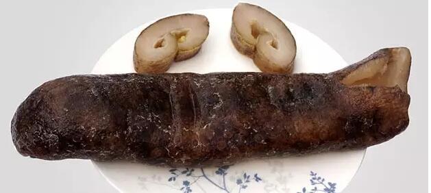 带您了解世界海参,你知道全球有多少种鲨鱼吗