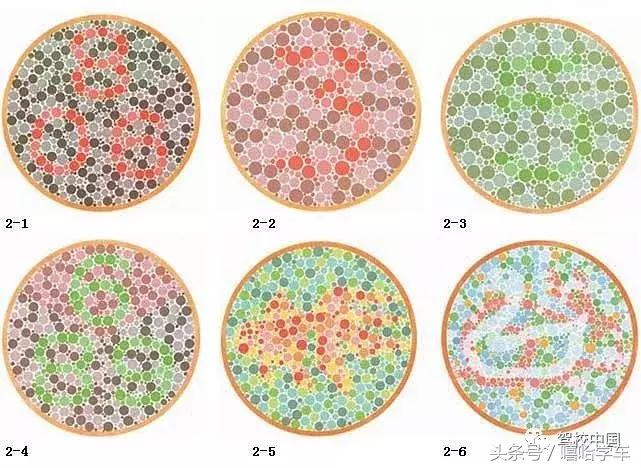 学车为什么要做体检,学车体检和普通体检的区别