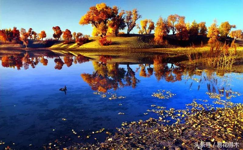 凉州词王之涣台词,王之涣凉州词简介