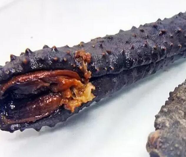 带您了解世界海参,你知道全球有多少种鲨鱼吗