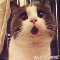 帮别人买火车票会被骗吗,网警提醒网购二手机谨防诈骗陷阱