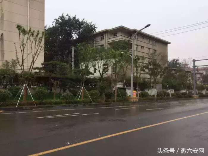 请回答80后完整版,请回答1988完整版