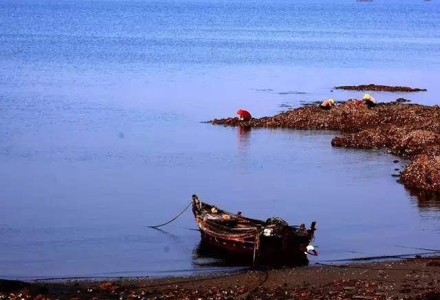 青岛海军节景点免费,青岛旅游景点免费政策
