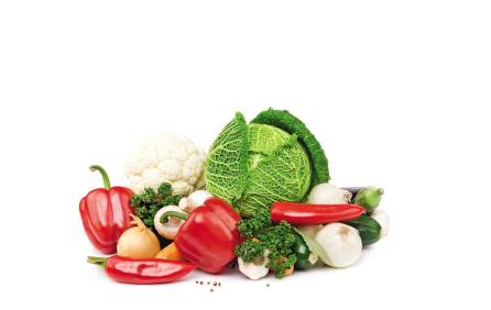 肃南最近有什么活动,肃南今天信息