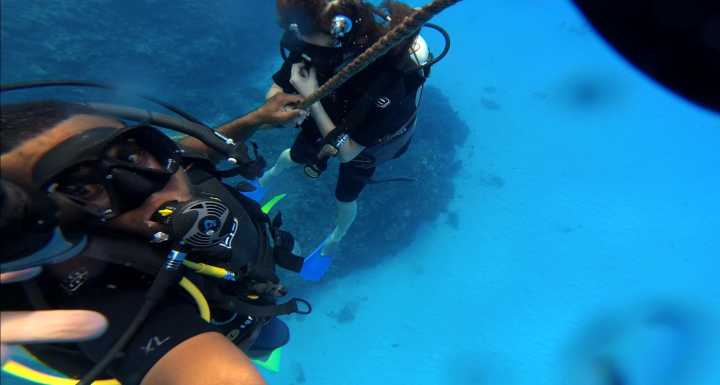 汤加和斐济哪个国家大,斐济国家主产什么