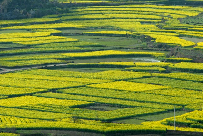 黄冈,这里不只有学霸和试卷