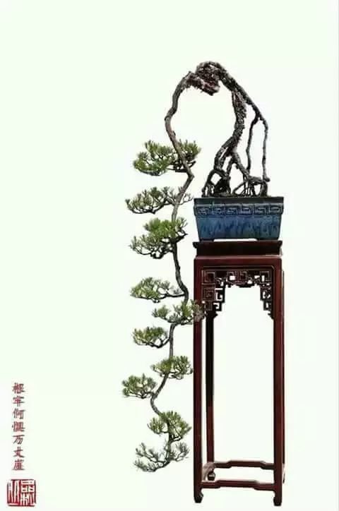 大师是怎样炼成的二胡独奏,真正的大师是怎么练成的