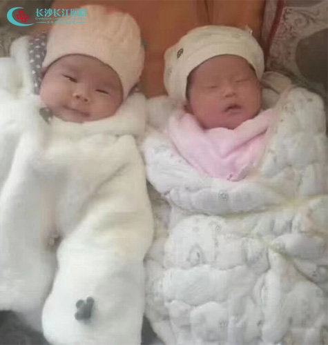 “精”得各不相同听大咖屈华破解多囊生殖医疗密码喜得‘龙凤’