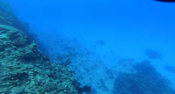 斐济这个国家怎么样,斐济免签哪些国家