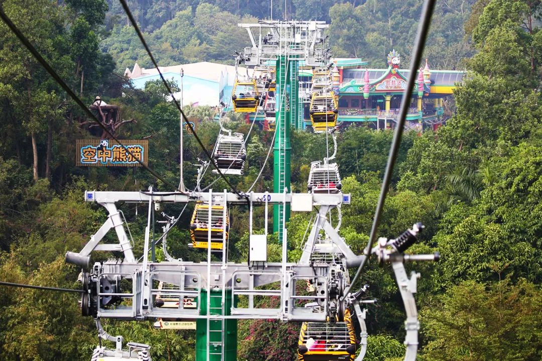 广州长隆野生动物园亲子跟拍,爸爸去哪儿广州长隆野生动物园