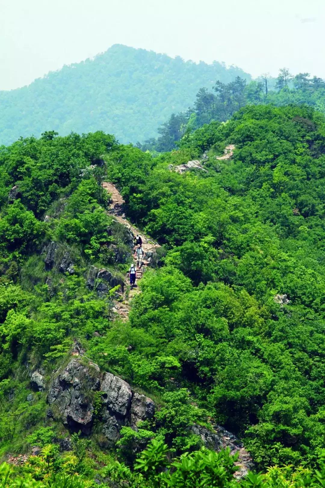 2019国内最美旅行时间表出炉,浙江最美旅游日历