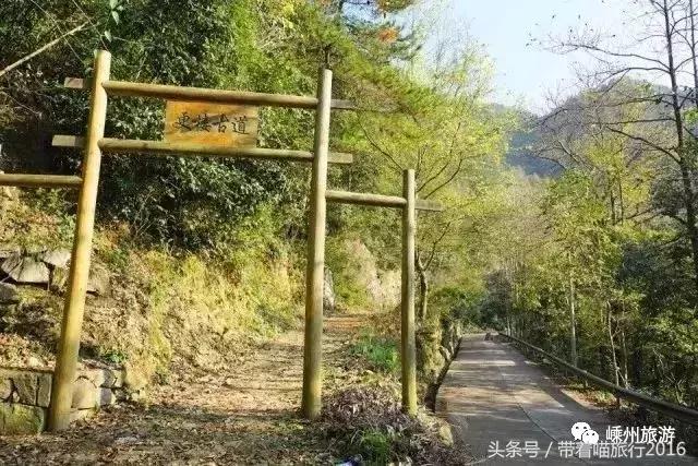 浙江绍兴嵊州生活水平怎么样,嵊州人外出打工的多吗