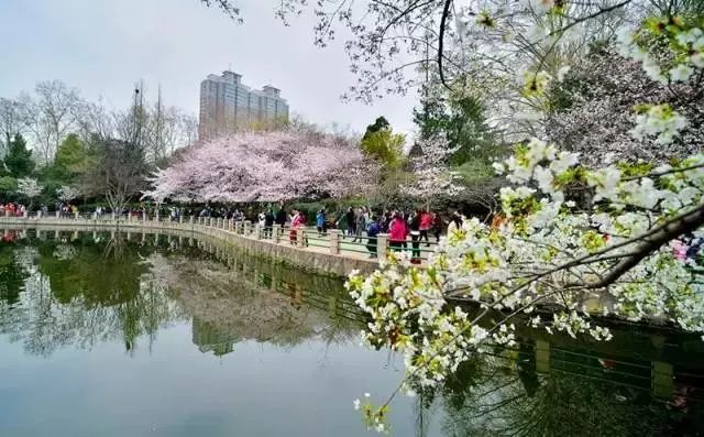 郑州东西统统免费吗,今天郑州哪些景区免费