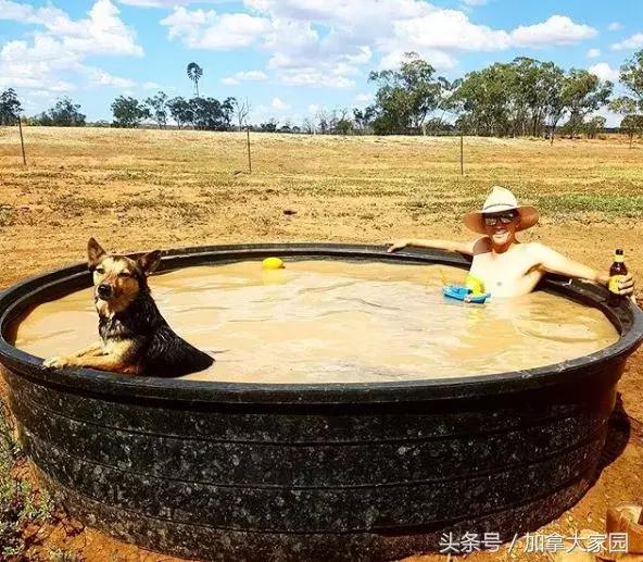 “劳动是最美的”！农民小哥农场“裸体庆丰收”火爆社交网络