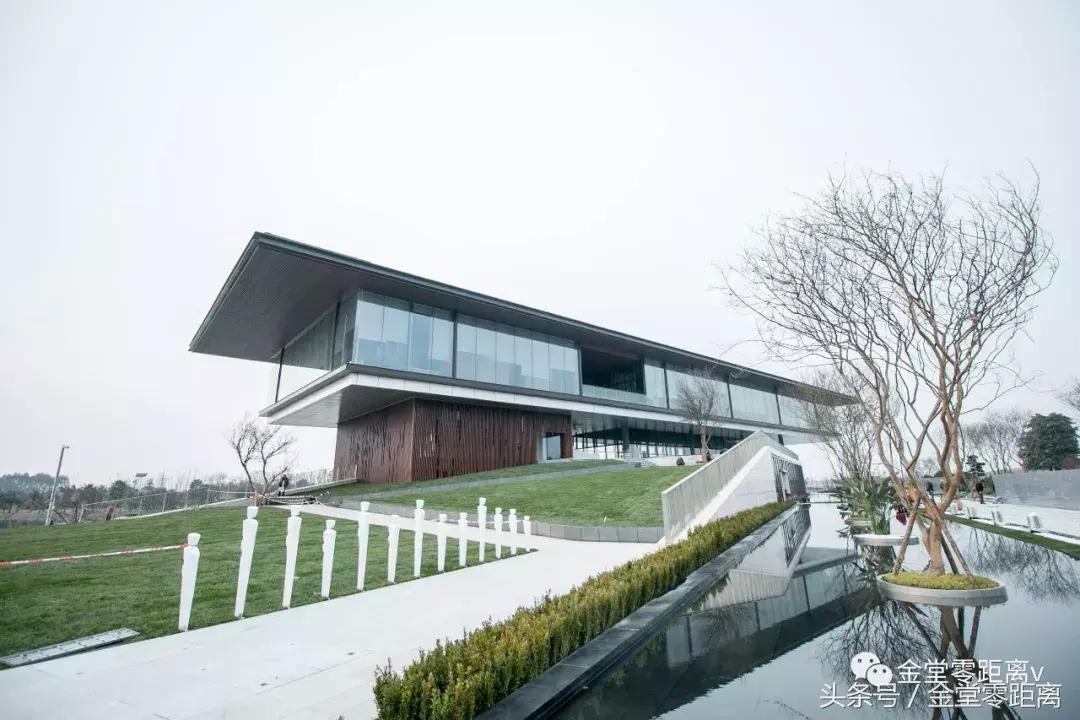 厉害了！金堂县又要火了，她即将代表中国走向世界！