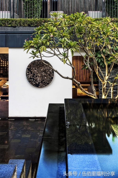 福州最便宜性价比最高的温泉,福州真正的温泉在哪里