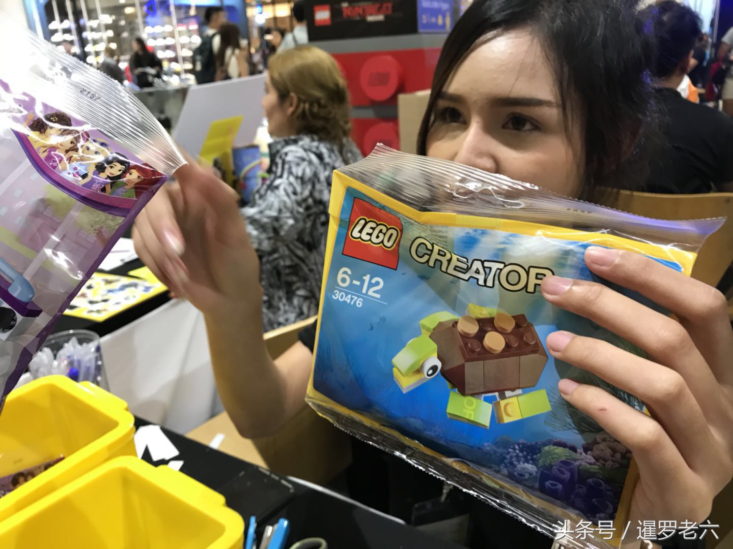 lego正版授权玩具,lego纪念玩具