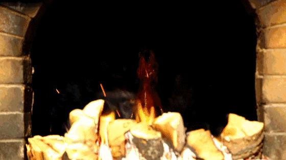 一年卖200w只老北京烤鸭店,烤鸭39年老店