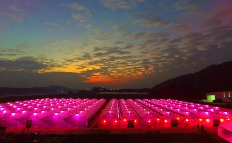 铁路镇最近发展,铁路小镇最新规划图