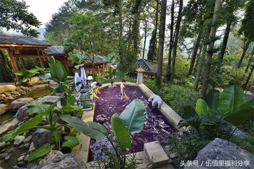 福州最便宜性价比最高的温泉,福州真正的温泉在哪里