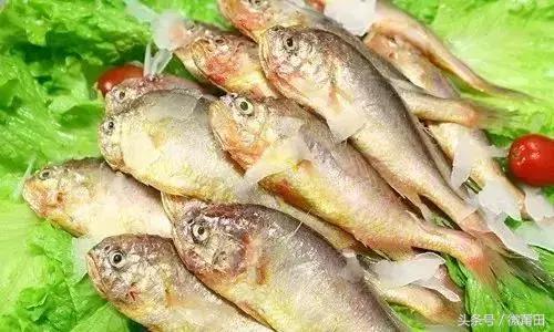 这是我的家乡闽南语,这是我的家乡全部视频