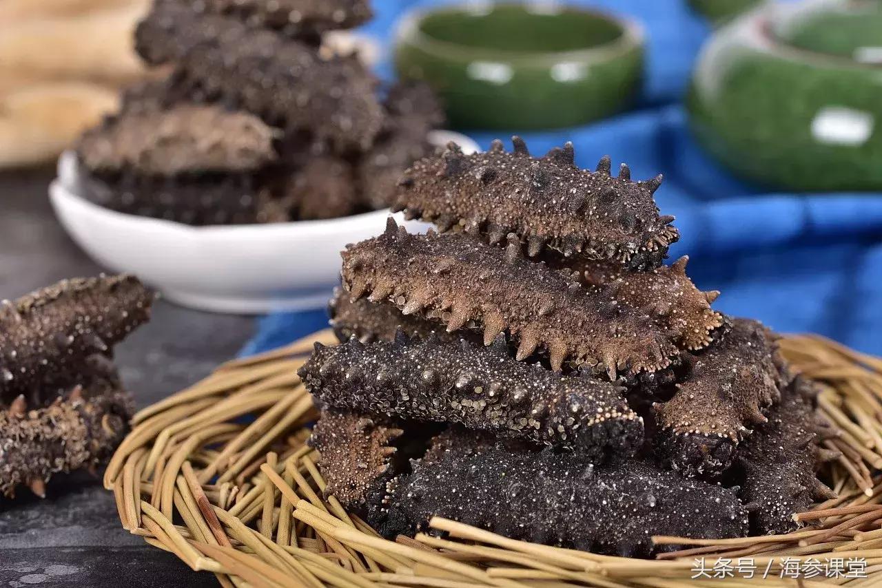 海参的营养和虾的营养,海参哪种有营养哪种没有营养