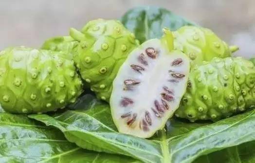 最奇葩的六种水果,你没吃过的十种奇葩水果
