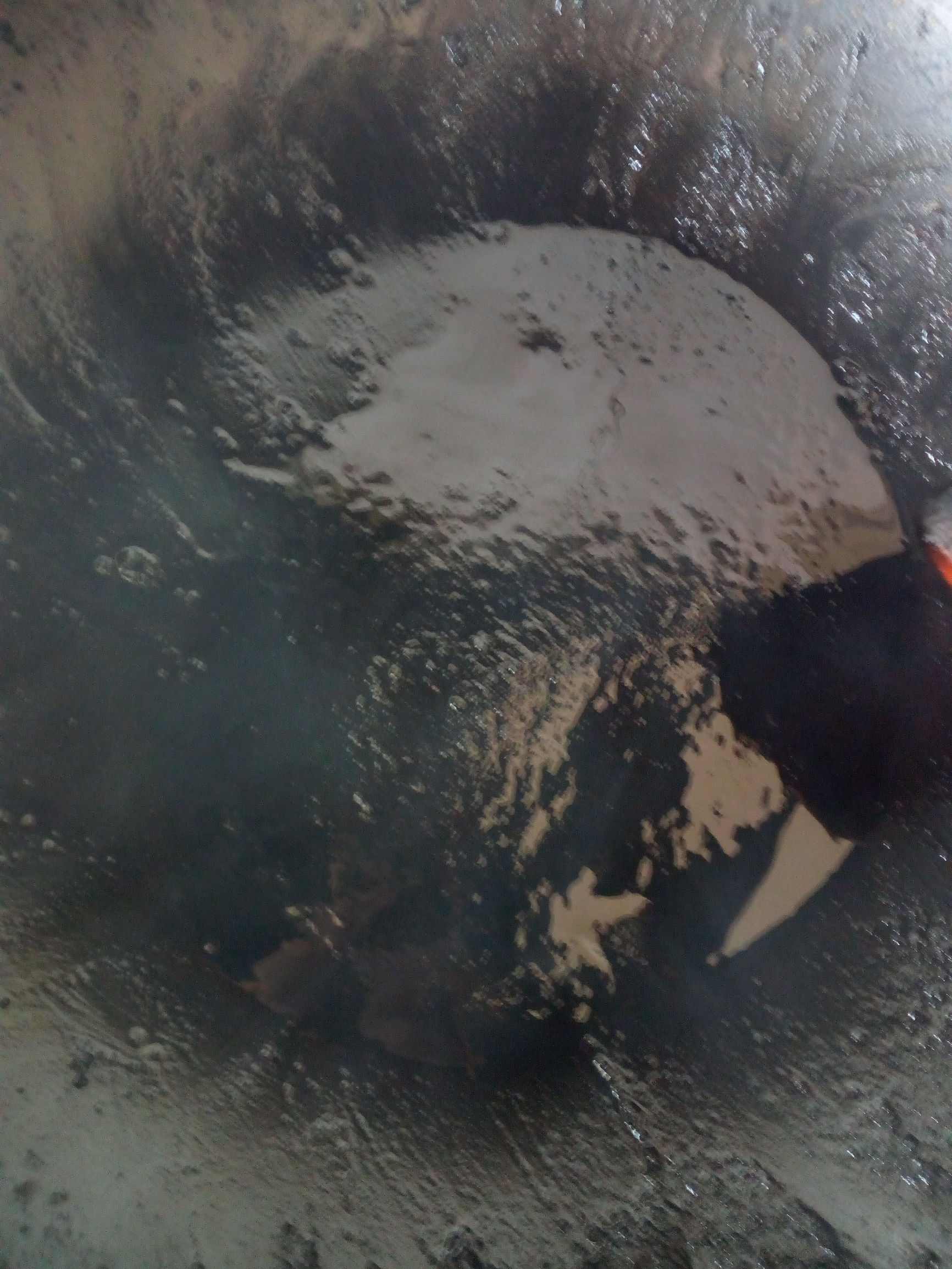 家有宝贝必备自制鸡蛋油