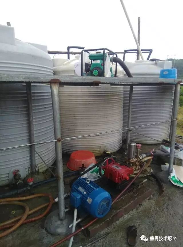 「热点」小户赚钱大户亏,为啥?省力化栽培是柑桔发展的趋势!