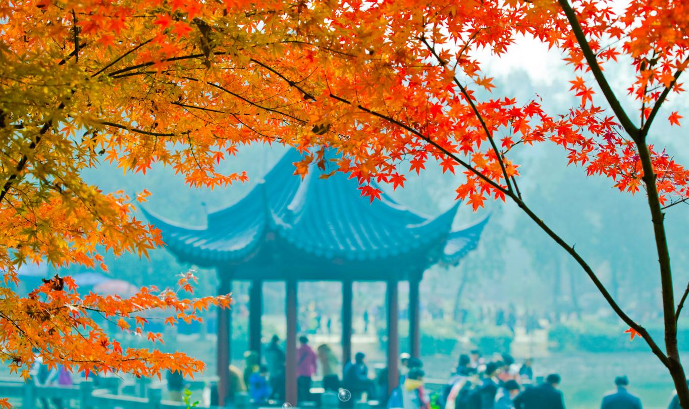 去南京玩要不要去夫子庙,南京五大必游景点夫子庙