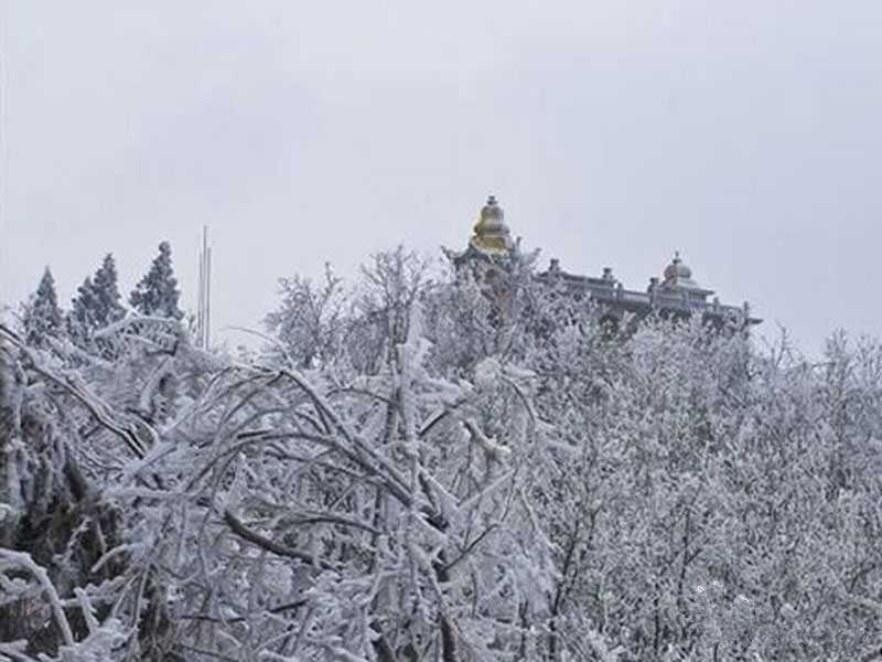 郑州周边好玩的地方推荐冬季,郑州周末去哪里玩不带孩子