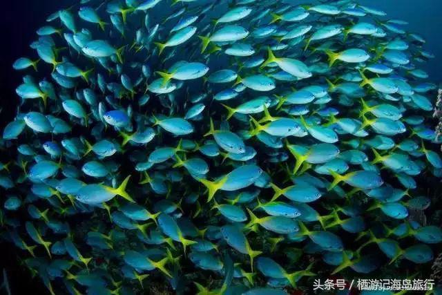 前任3林佳最后一个人出去旅游,前任3林佳走的片段