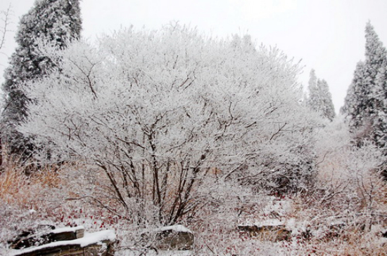 郑州周边好玩的地方推荐冬季,郑州周末去哪里玩不带孩子