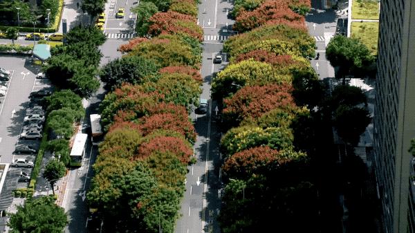 一个恐高的人,高空作业20多年,舍命拍出了最美纪录片