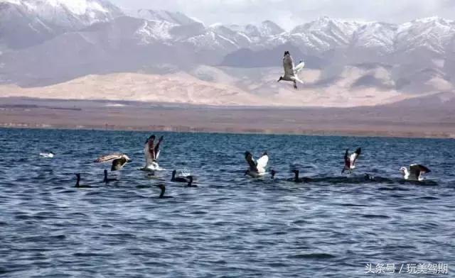 冬日，去达玉部落找寻道不尽达玉的传奇！