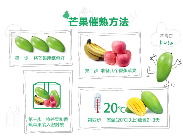 越南大青芒爽滑细嫩甜润多汁,越南大青芒为什么有股怪味