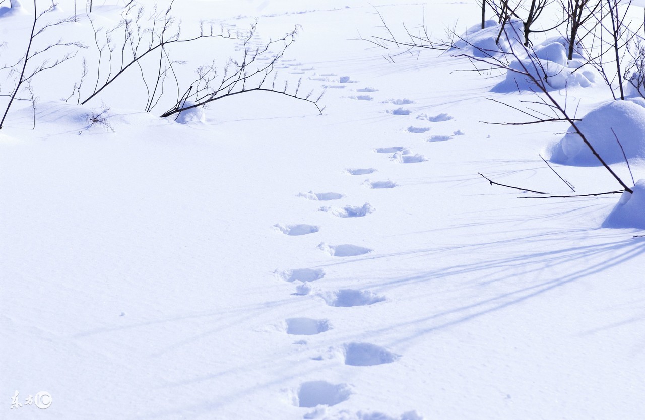 6年级数学巧算方法思维拓展题,小学数学思维计算题公式大全