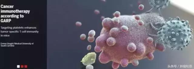 你们知道为什么抗癌药如此贵吗,最好的抗癌药名单