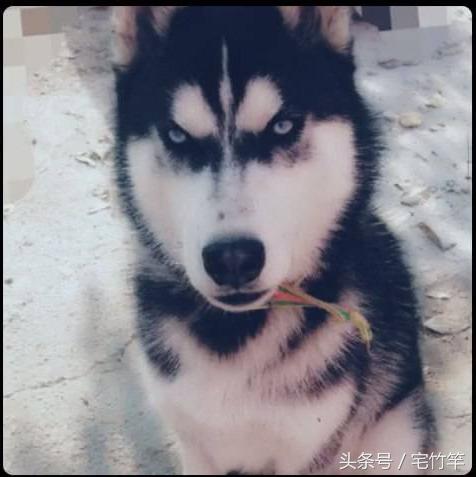 识人看人心理技巧,识人术怎样知道对方是什么样的人