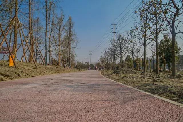 光华大道西延线崇州段,成都光华大道与绕城互通好久开通