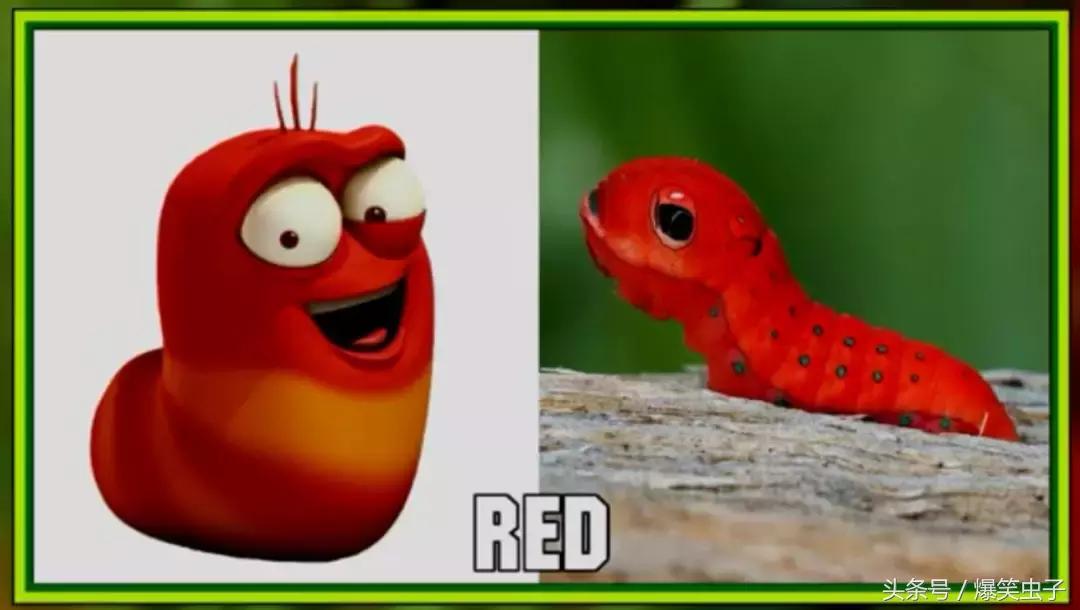 爆笑虫子小粉虫怎么来的,快速了解爆笑虫子