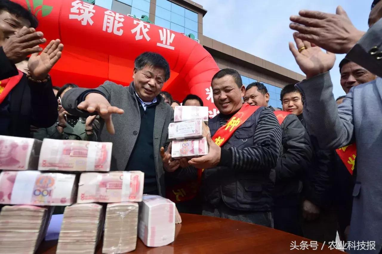 2021全国十佳农民公示名单,2021全国十佳高素质农民